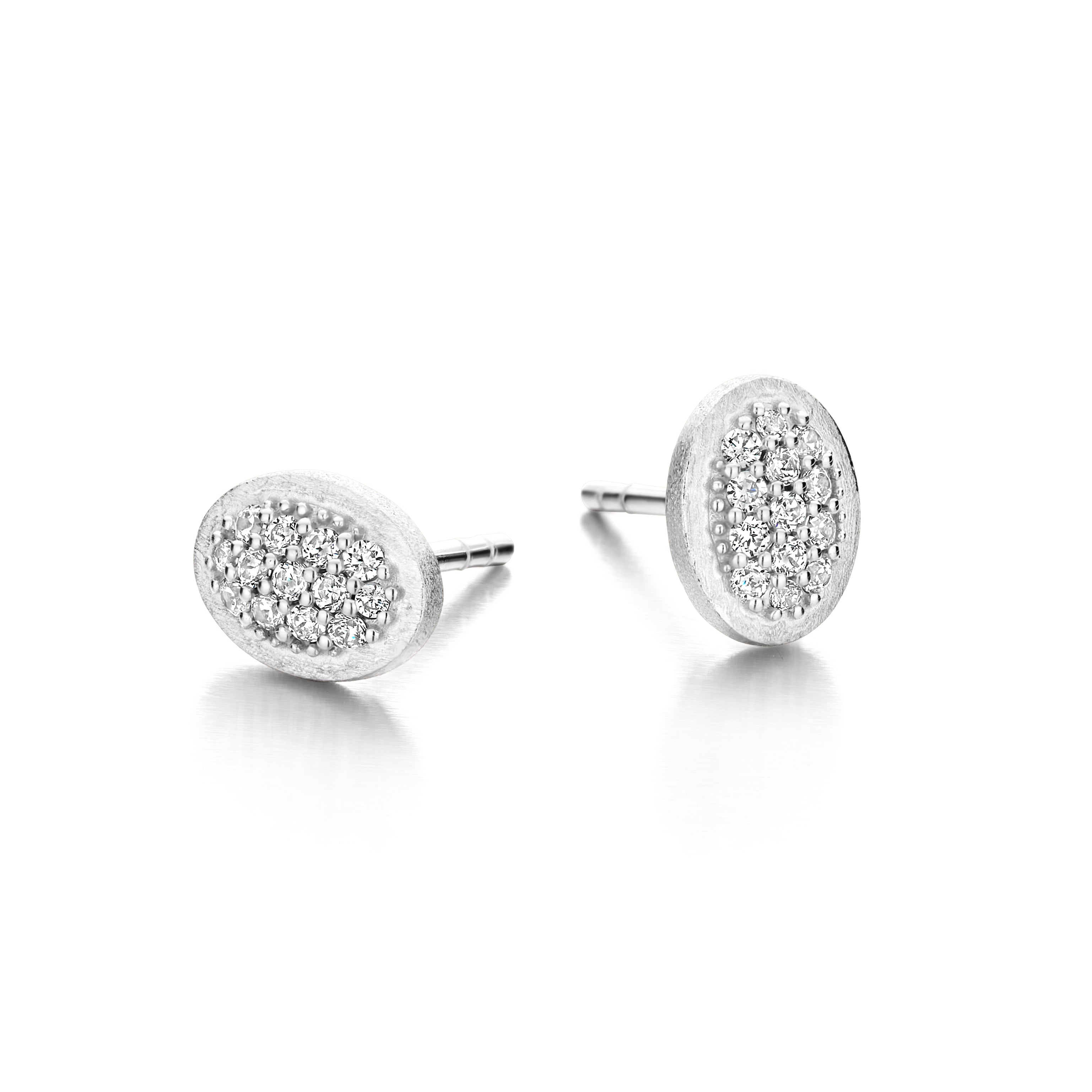 CECILIA STUD-1