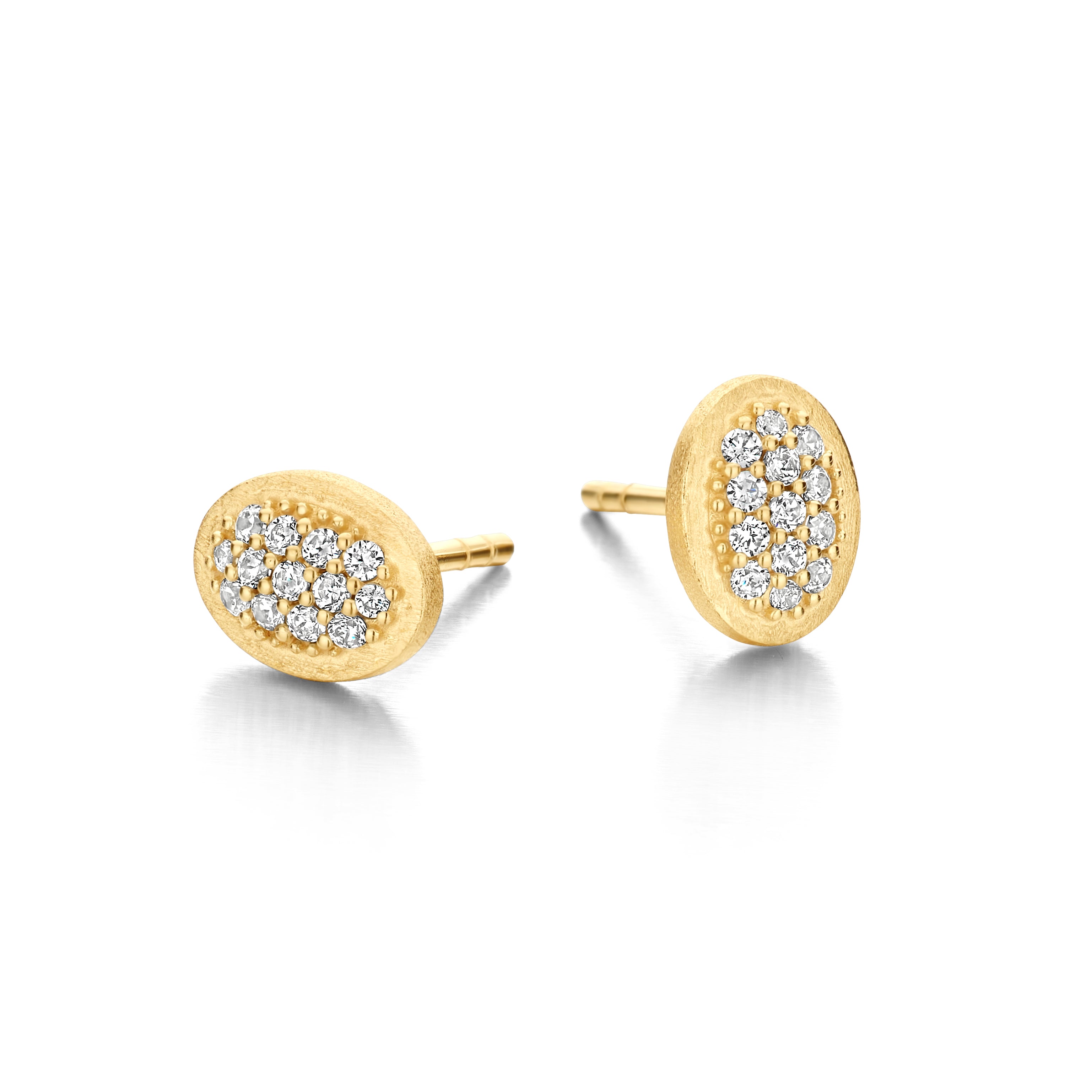 CECILIA STUD-1