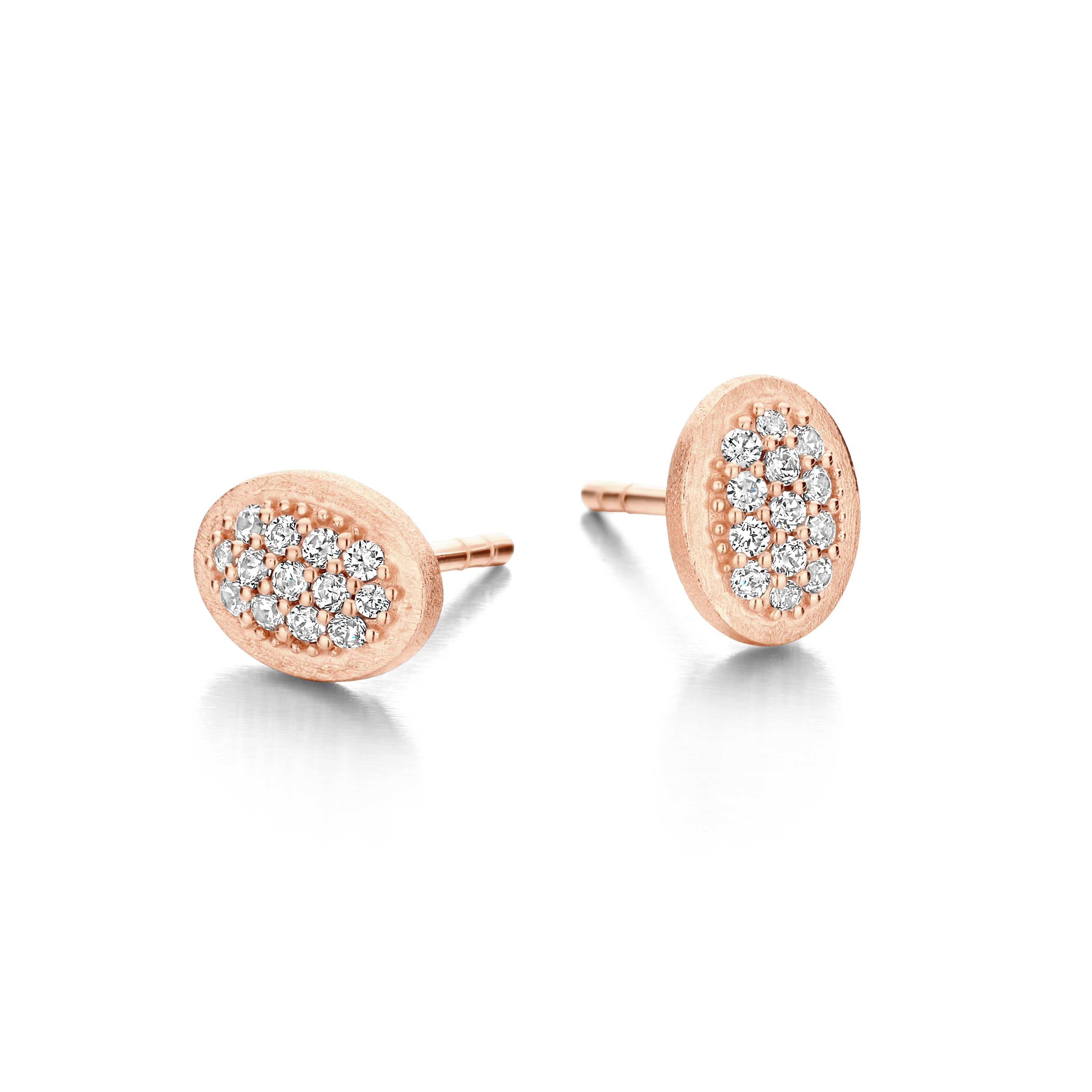 CECILIA STUD-1