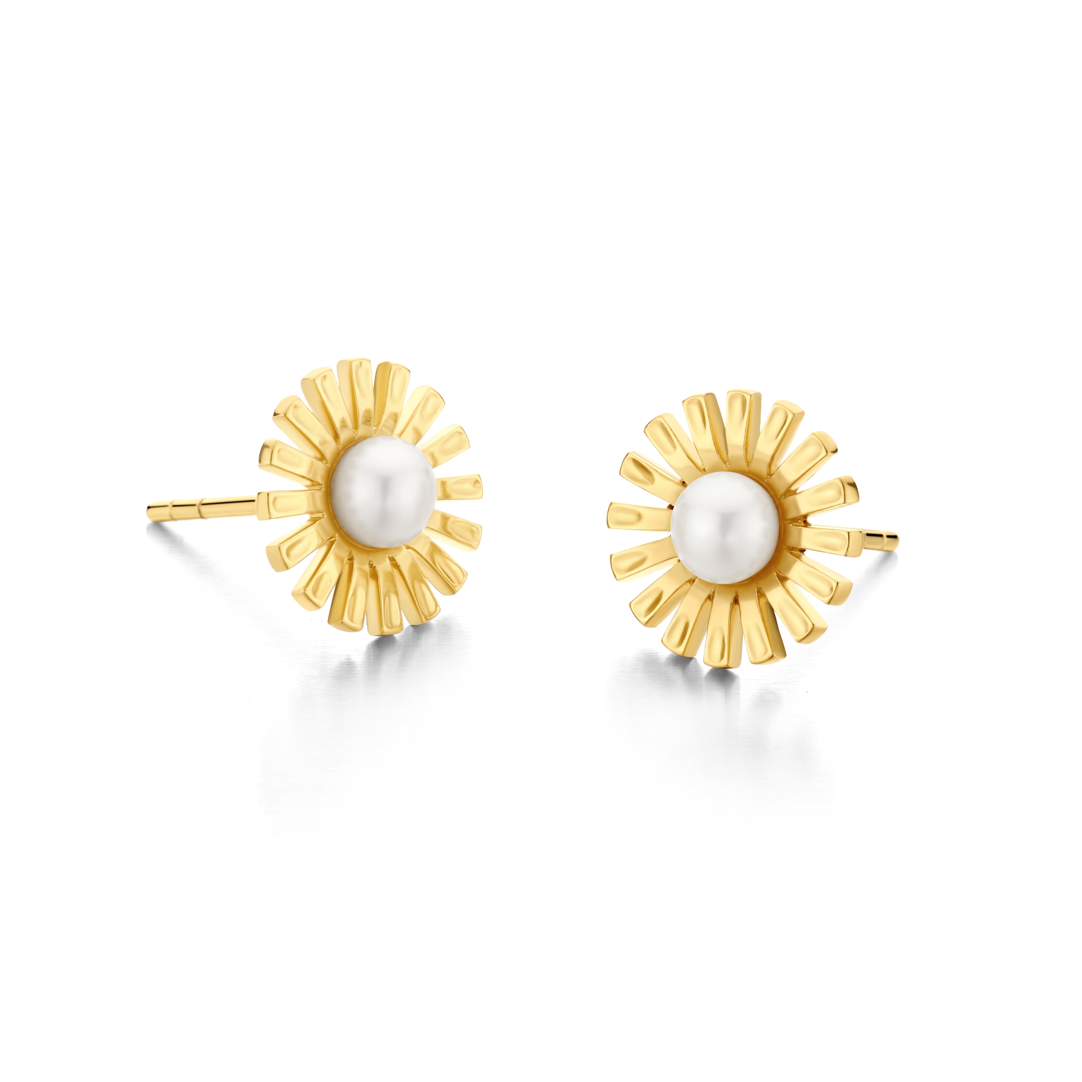 DAISY STUD-1