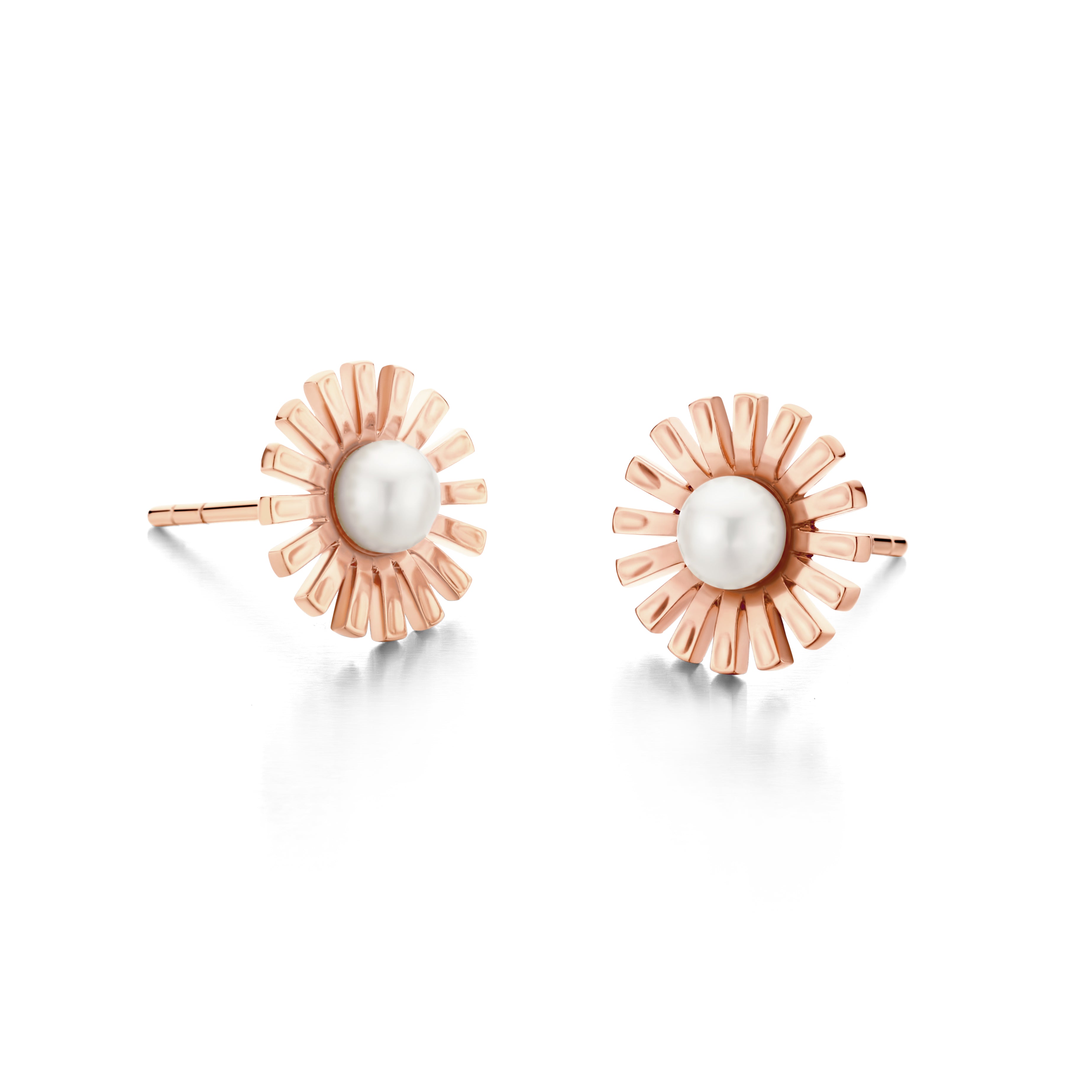 DAISY STUD-1