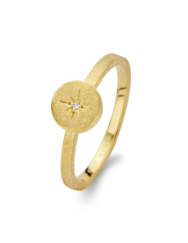 NORTH STAR RING GP DIA 0,005-1