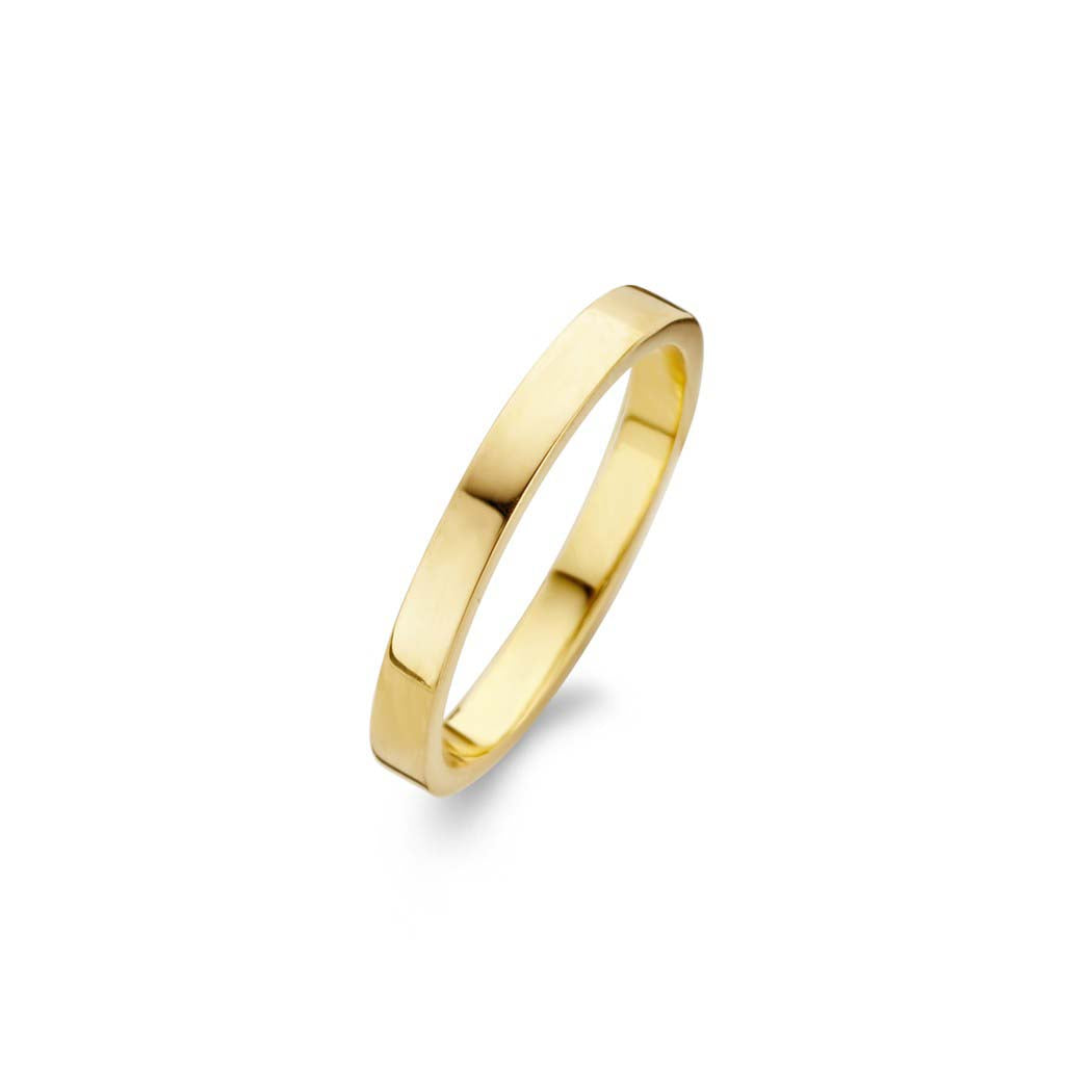 RAW RING GP POLISHED-1